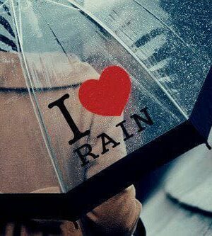 **مظلة شفافة أنيقة 🌂**